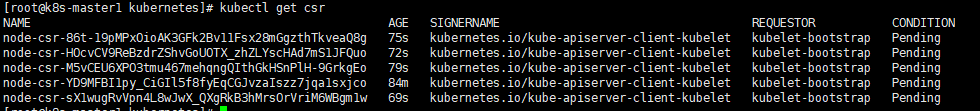 8.1.查看kubelet证书请求.png